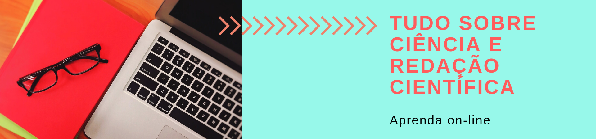 Banner IGVEC